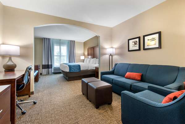 Suite - Comfort Inn & Suites Tavares