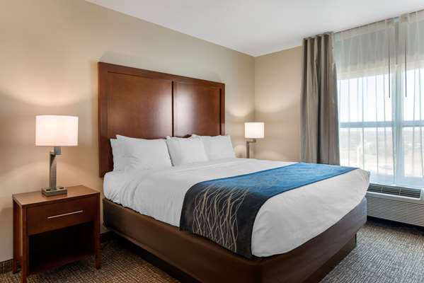 Suite - Comfort Inn & Suites Tavares