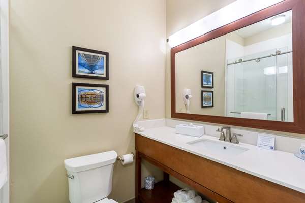  - Comfort Inn & Suites Airport Baton Rouge