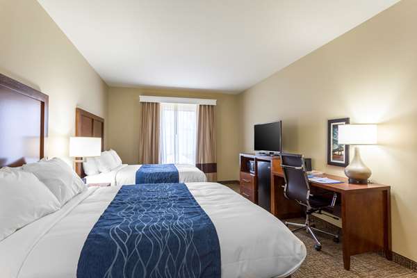  - Comfort Inn & Suites Airport Baton Rouge