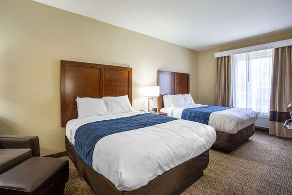  - Comfort Inn & Suites Airport Baton Rouge