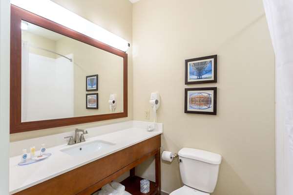  - Comfort Inn & Suites Airport Baton Rouge