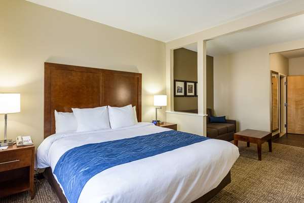 Suite - Comfort Inn & Suites Airport Baton Rouge