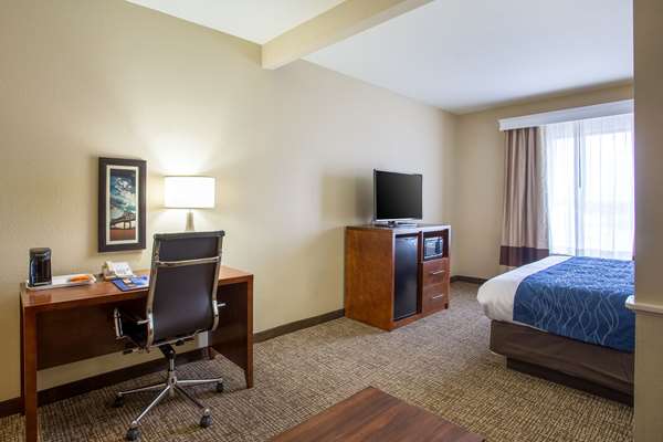 Suite - Comfort Inn & Suites Airport Baton Rouge