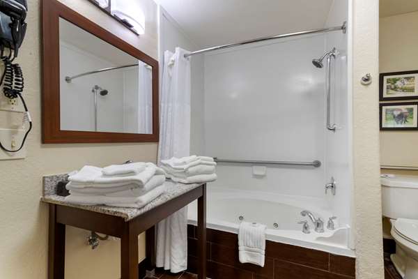 Suite - Comfort Inn & Suites Fiesta San Antonio - I-10, Exit 557