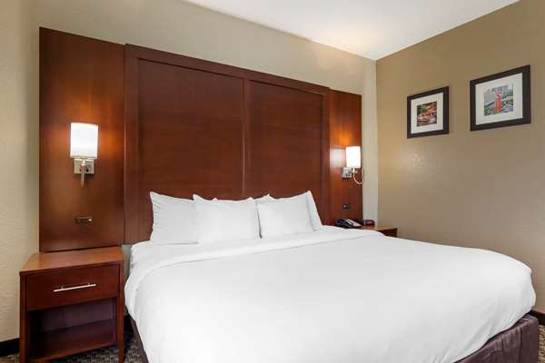 Suite - Comfort Inn & Suites Fiesta San Antonio - I-10, Exit 557