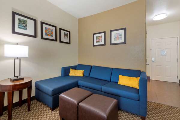 Suite - Comfort Inn & Suites Fiesta San Antonio - I-10, Exit 557