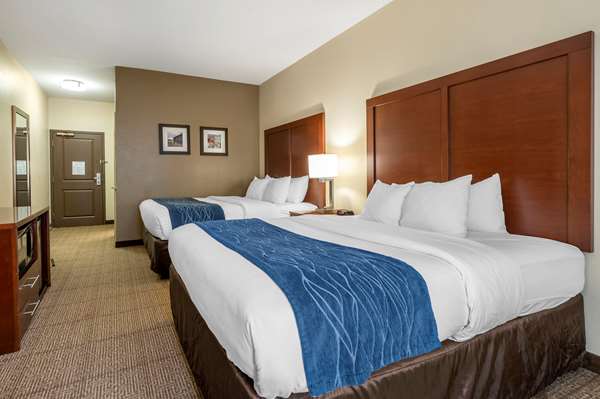  - Comfort Inn & Suites Northern Kentucky Wilder - I-275, Exit 77
