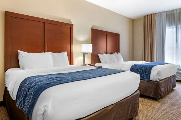 - Comfort Inn & Suites Northern Kentucky Wilder - I-275, Exit 77