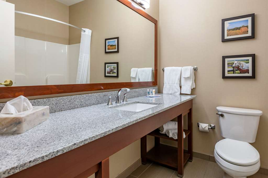 COMFORT INN AND SUITES NORTHERN KEN-guestroom-Guest Room,Bathroom,On-Site.jpg