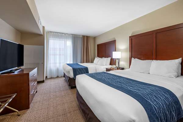 Suite - Comfort Inn & Suites Northern Kentucky Wilder - I-275, Exit 77