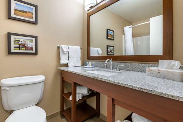Suite - Comfort Inn & Suites Northern Kentucky Wilder - I-275, Exit 77