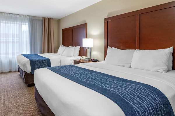 Suite - Comfort Inn & Suites Northern Kentucky Wilder - I-275, Exit 77