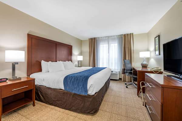 Suite - Comfort Inn & Suites Northern Kentucky Wilder - I-275, Exit 77