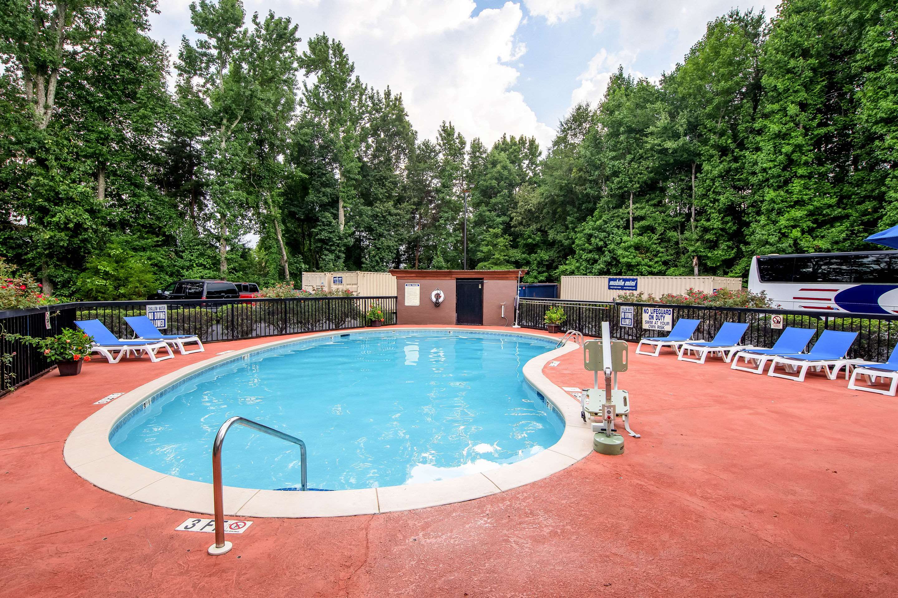 Relax by the pool