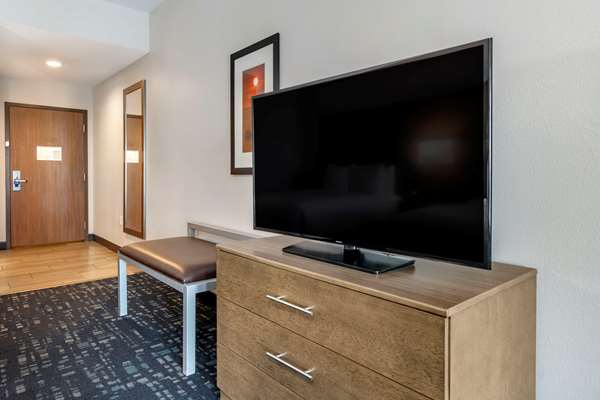 Suite - Comfort Suites Dania Beach