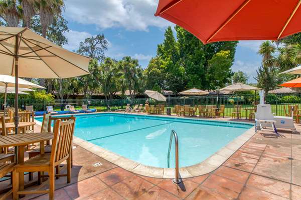 Pool - Inn Marin Novato - US 101, Exit 459