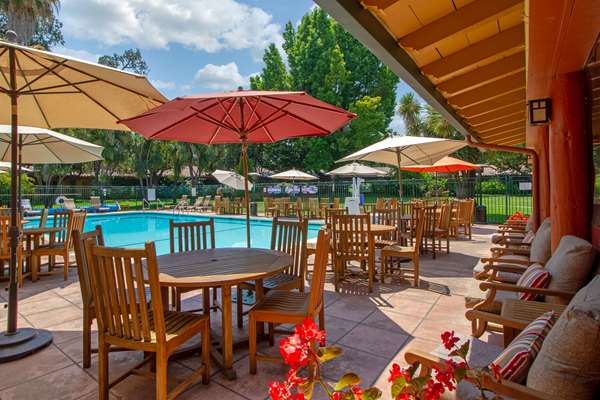 Pool - Inn Marin Novato - US 101, Exit 459