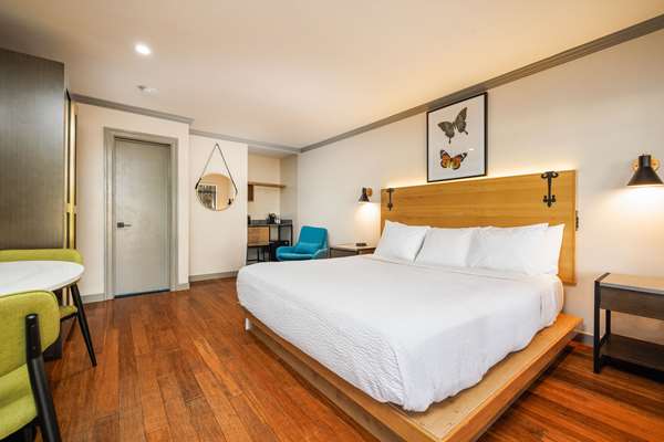 Suite - Inn Marin Novato - US 101, Exit 459