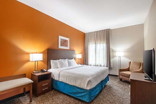 Suite - MainStay Suites East Madison