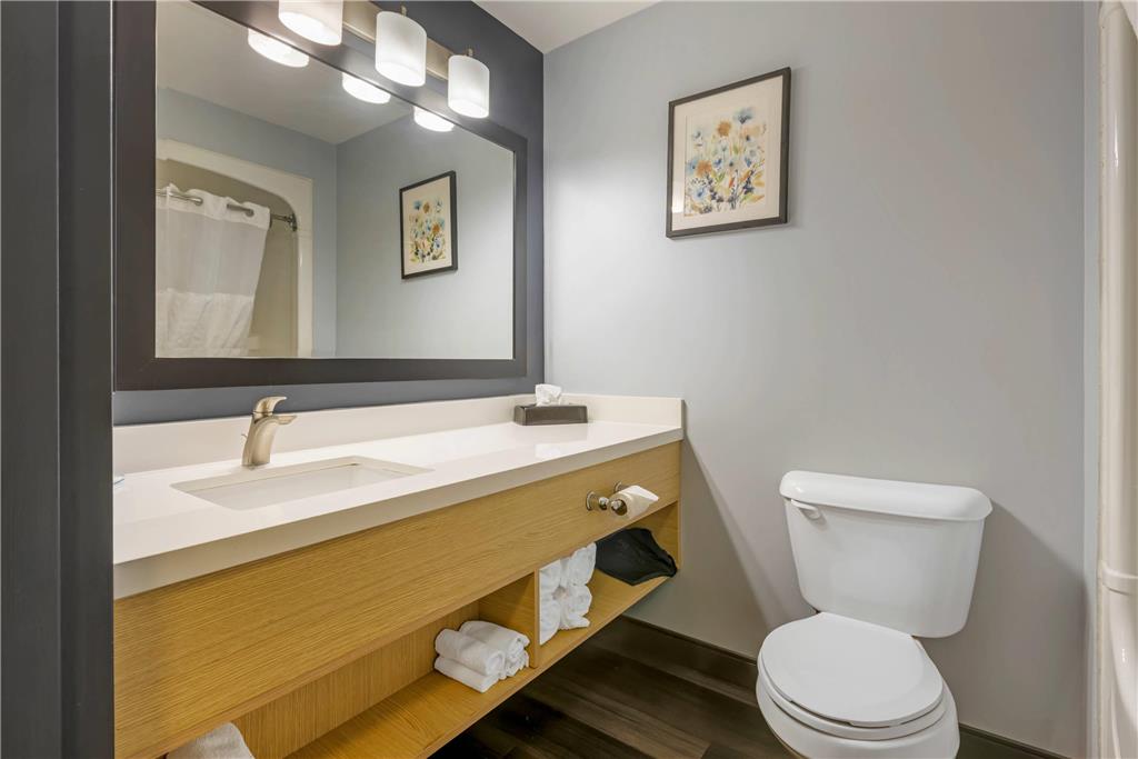 QUALITY INN AND SUITES-guestroom-Guest Room,Bathroom,On-Site.jpg