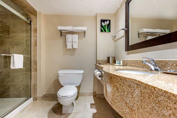 Suite - Quality Inn & Suites Brampton