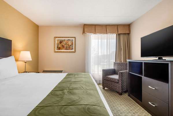 Suite - Quality Inn & Suites Brampton