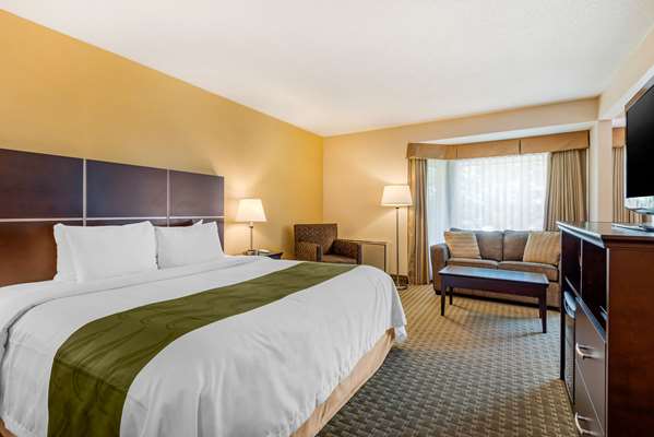  - Quality Inn & Suites Brampton