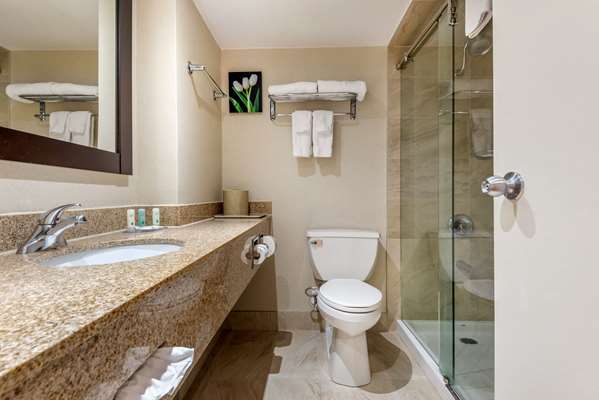  - Quality Inn & Suites Brampton