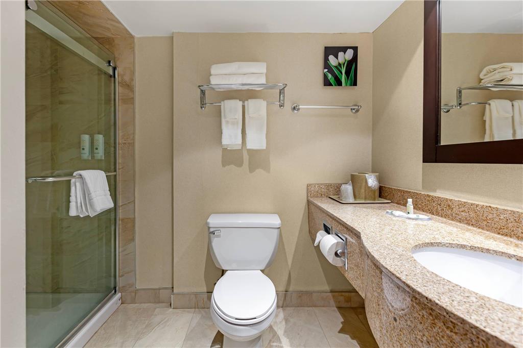 QUALITY INN AND SUITES-guestroom-Guest Room,Bathroom,On-Site.jpg