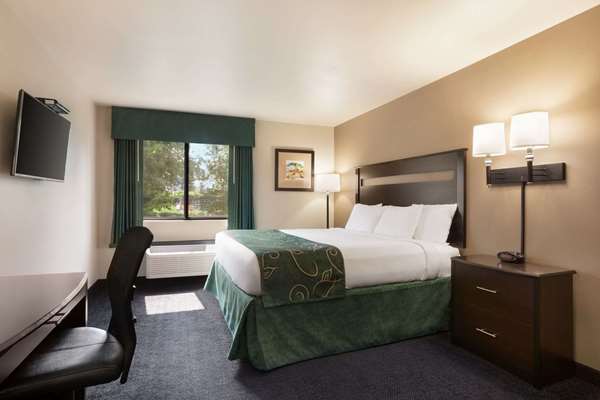  - Travelodge Brunswick