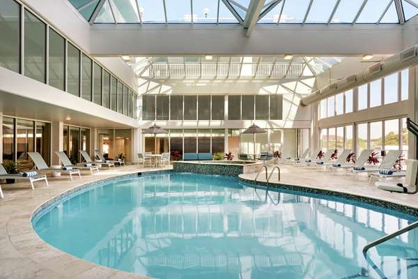 Pool - DoubleTree by Hilton Hotel Ocean City
