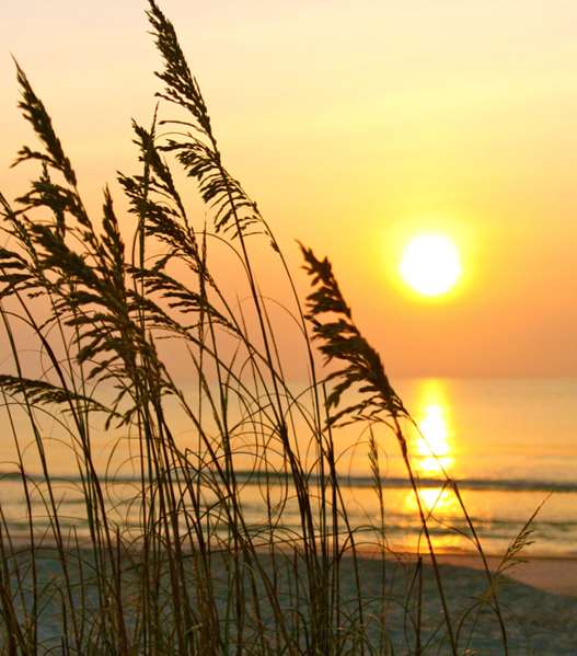  - Ocean Coast Hotel at the Beach Fernandina Beach