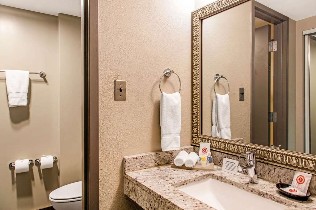 COMFORT INN LARGO-WASHINGTON DC EAS-guestroom-Guest Room,Bathroom,On-Site.jpg