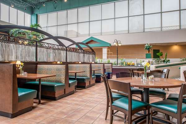 Amenities - Quality Hotel Blue Ash - I-71, Exit 15