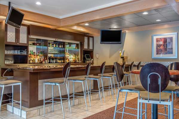 Bar - Quality Hotel Blue Ash - I-71, Exit 15