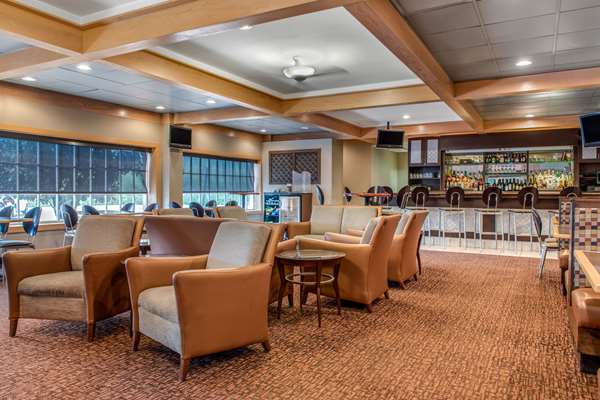Bar - Quality Hotel Blue Ash - I-71, Exit 15