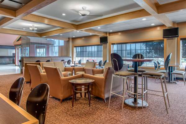 Bar - Quality Hotel Blue Ash - I-71, Exit 15