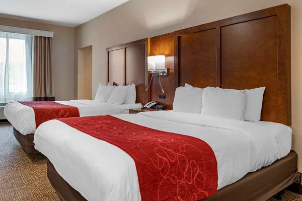 Suite - Comfort Suites Airport Columbus