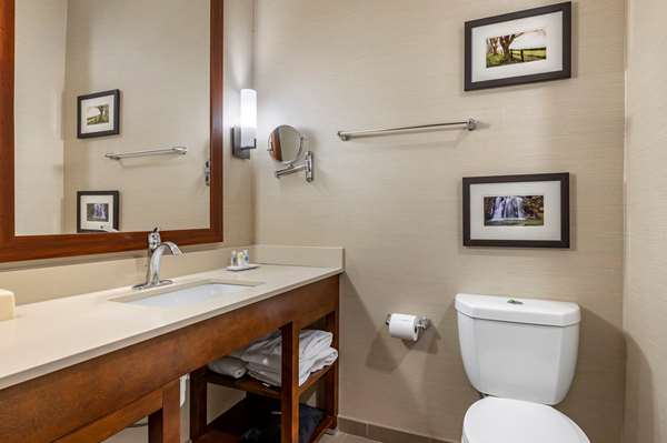 Suite - Comfort Suites Airport Columbus