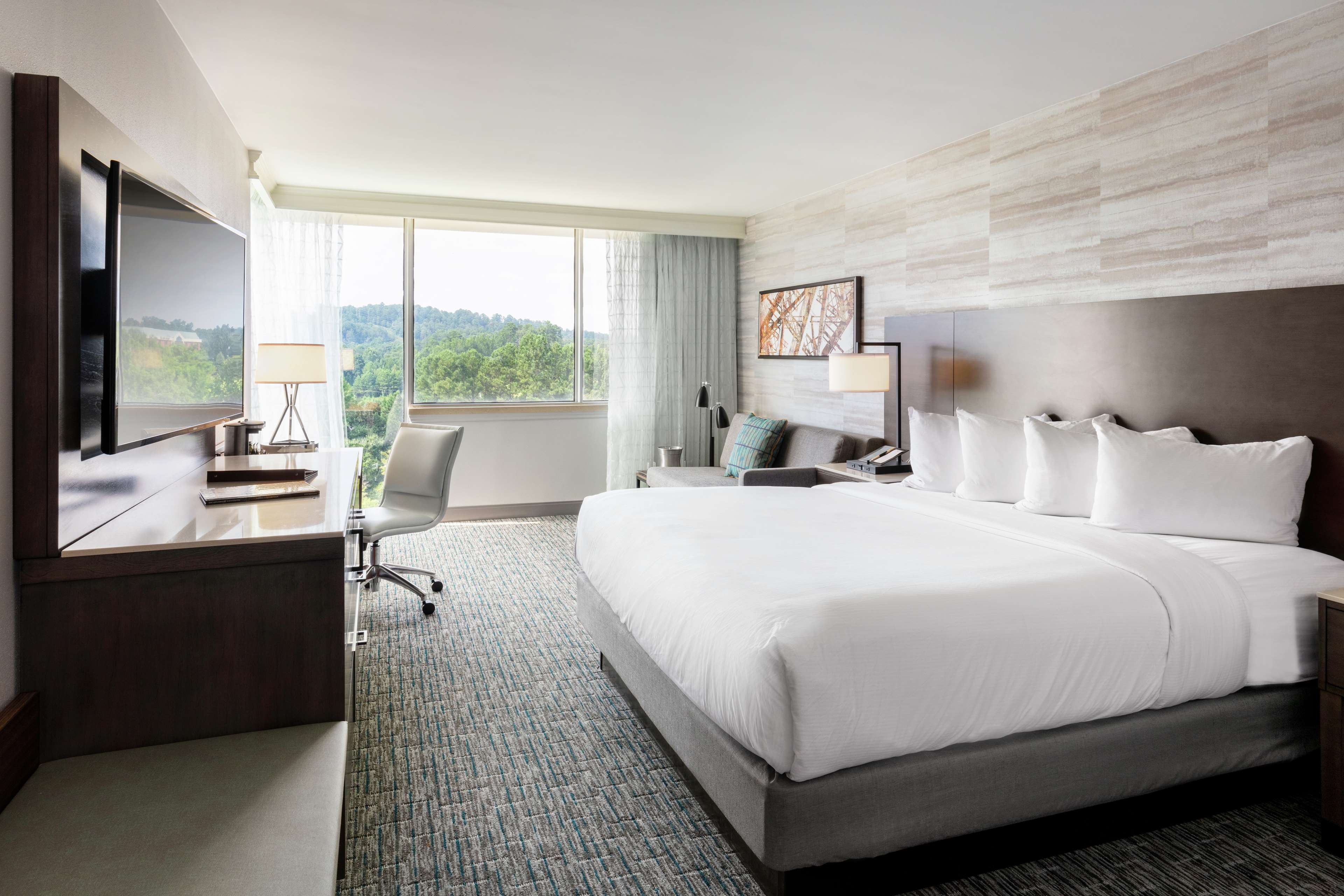 DoubleTree by Hilton Birmingham Perimeter Park Room Type - 1 KING W  SOFABED