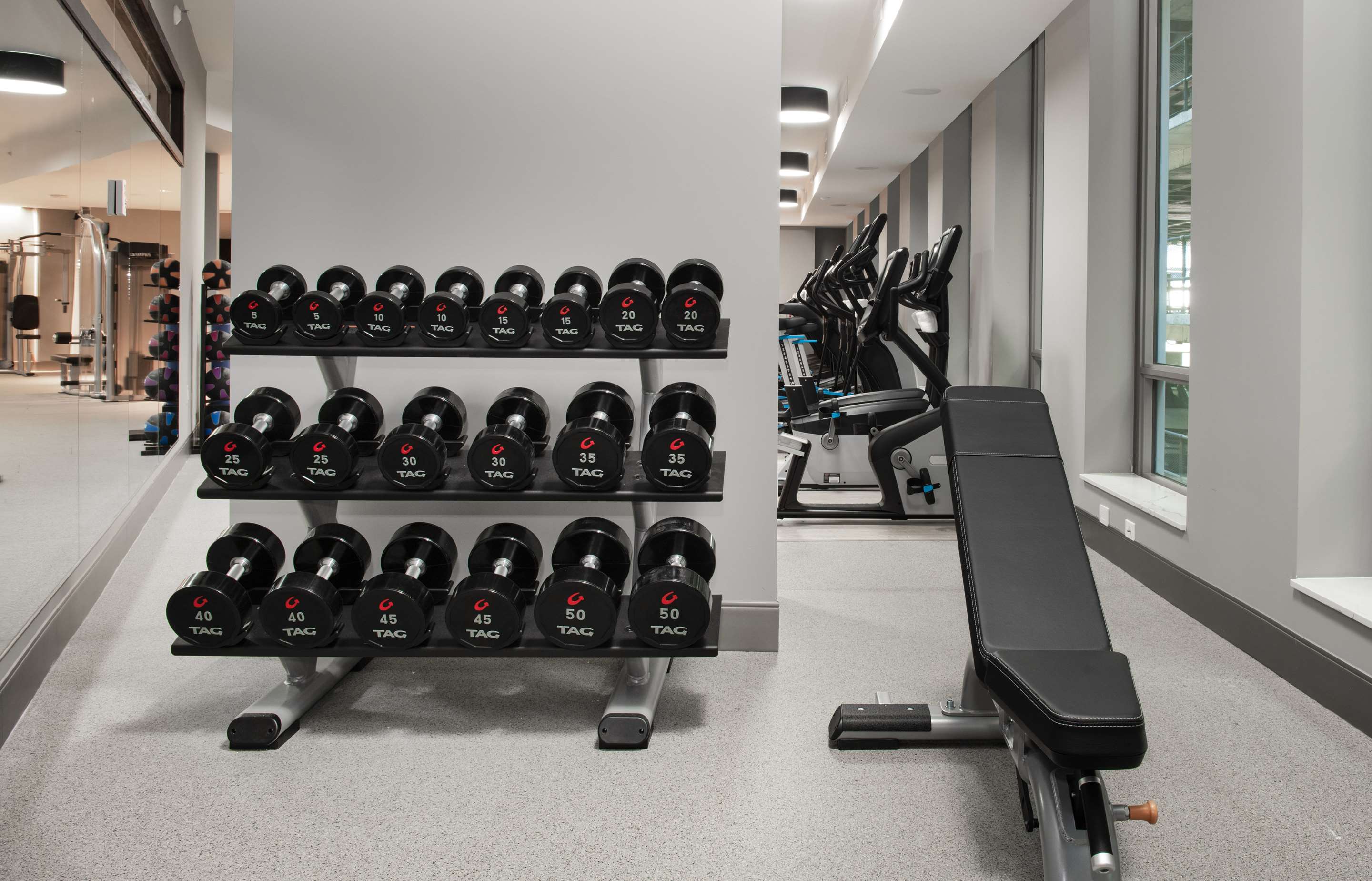 Health club fitness center gym