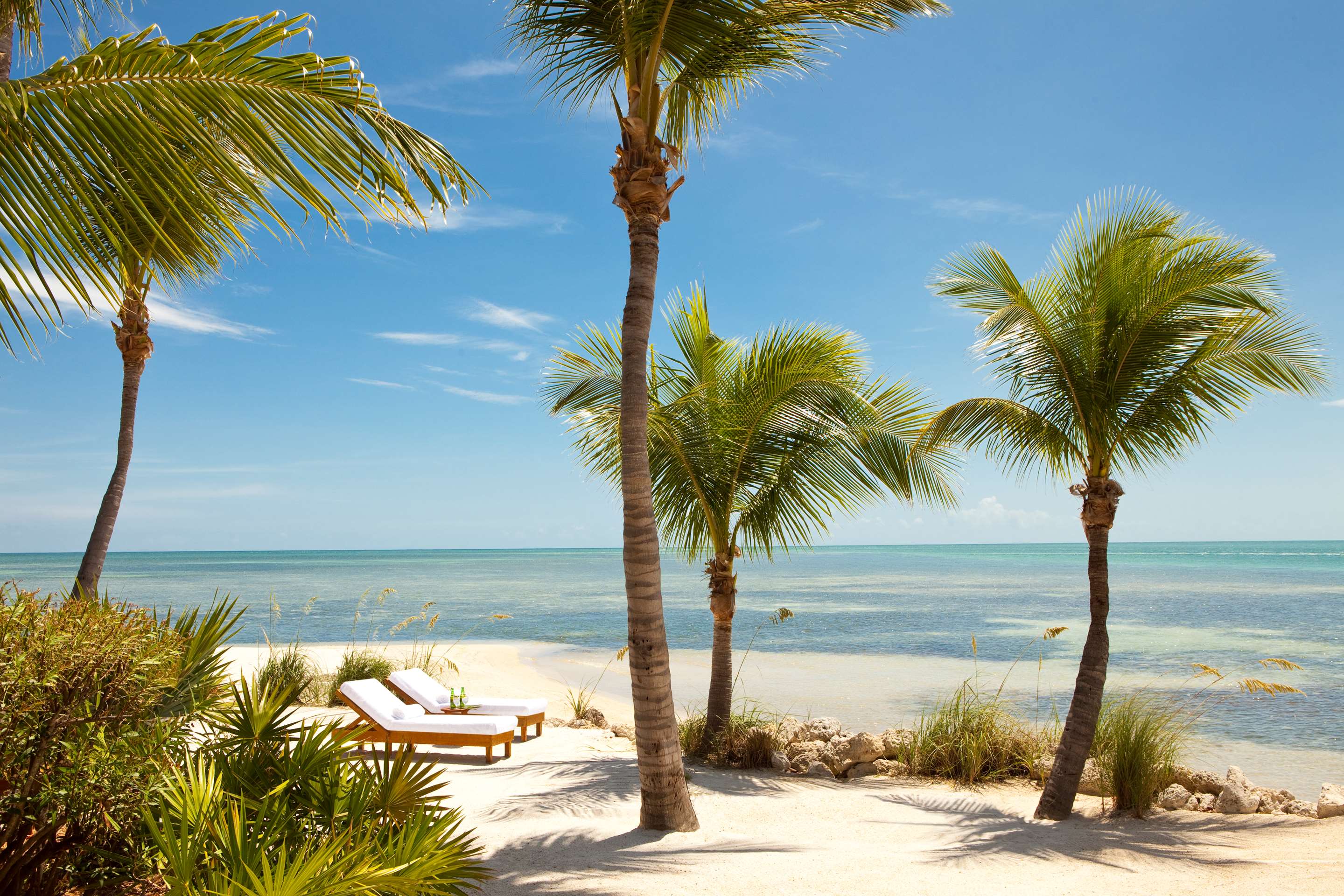 Paradise