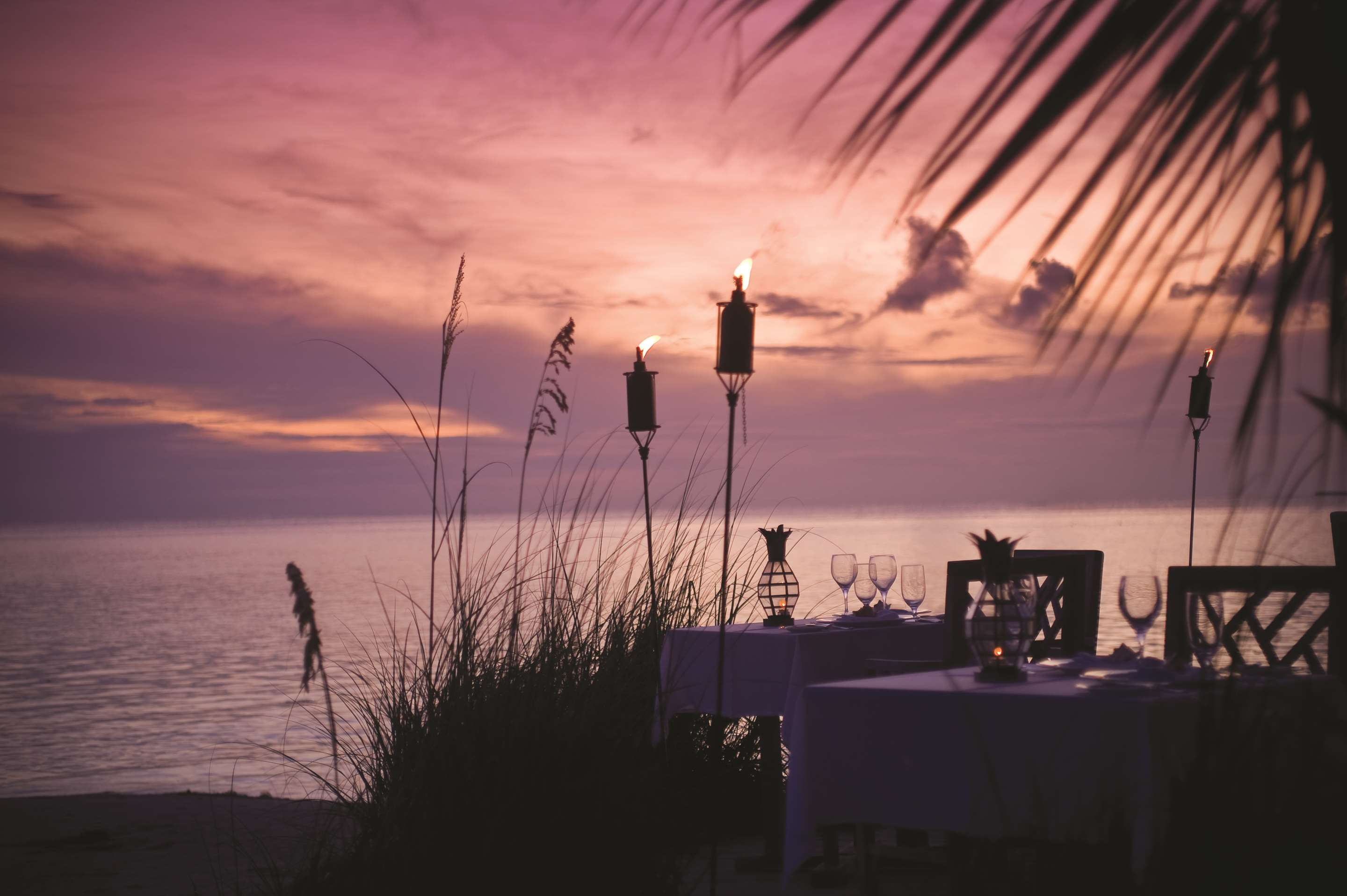 Beach Dining
