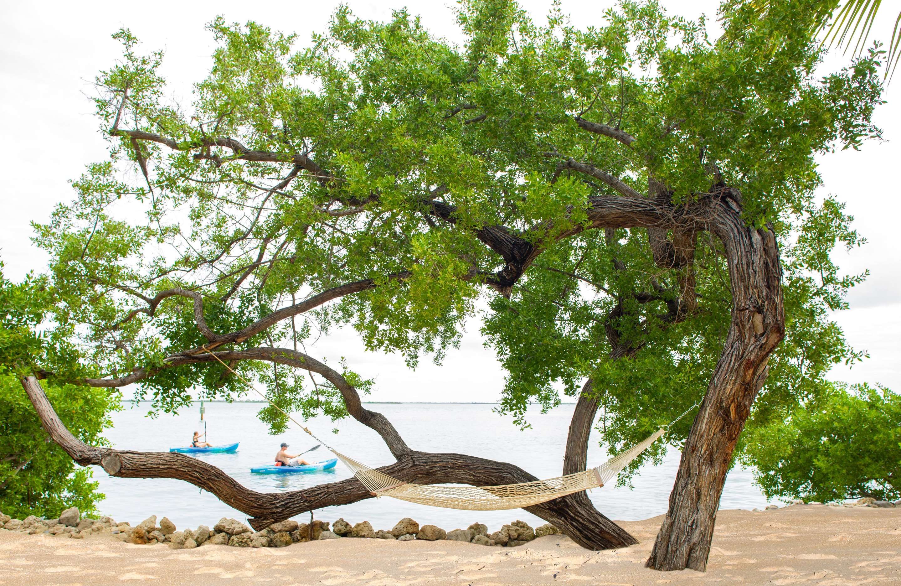 Hammock