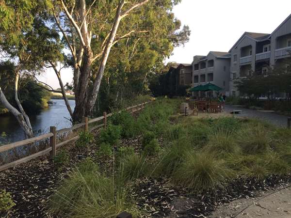 Exterior view - River Terrace Inn Napa
