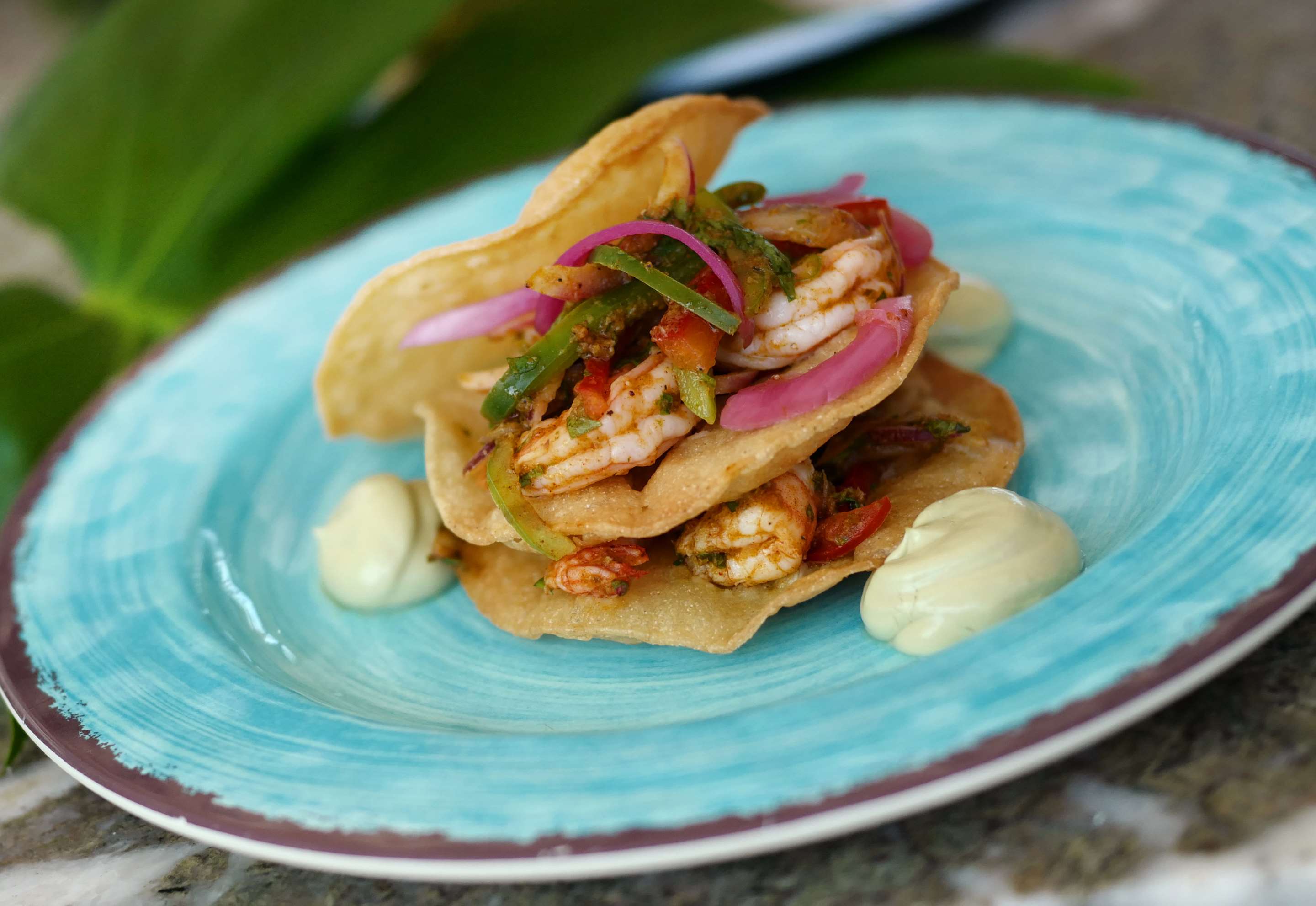 shrimp tacos | Ocean Key Resort - A Noble House Resort