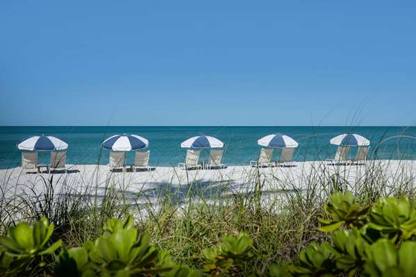 Beach - La Playa Beach Golf Resort Naples