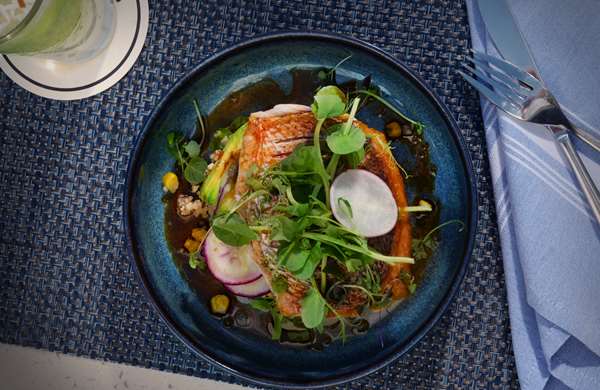 Restaurant - La Playa Beach Golf Resort Naples