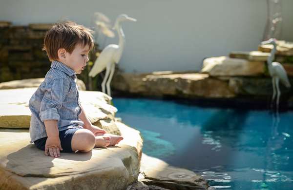 Pool - La Playa Beach Golf Resort Naples